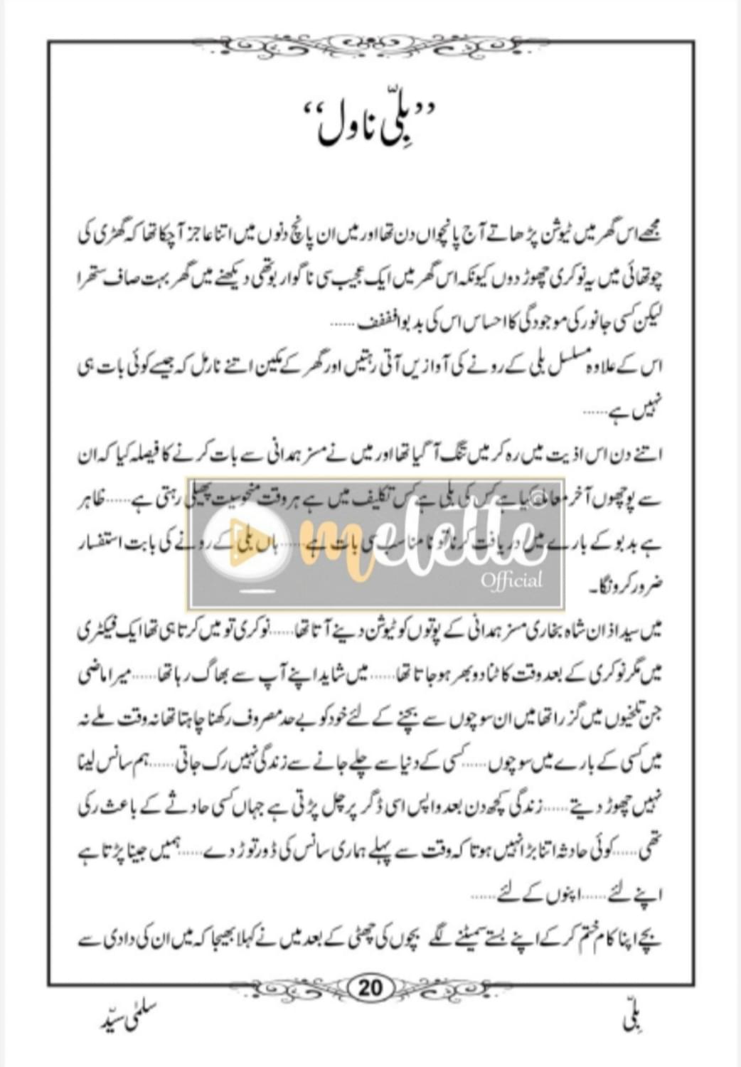 Billi Urdu Novel - Image 2