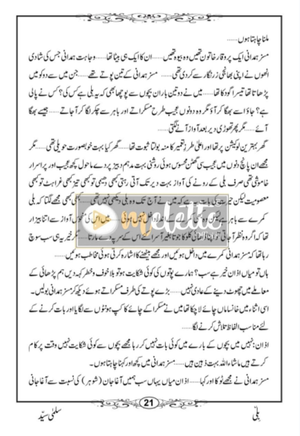 Billi Urdu Novel - Image 3