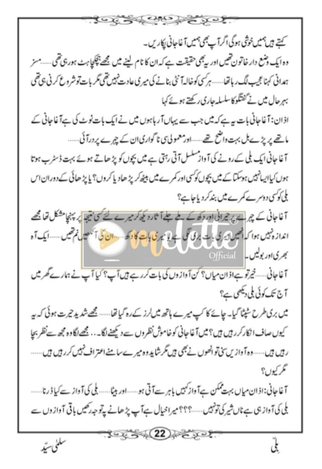 Billi Urdu Novel - Image 4